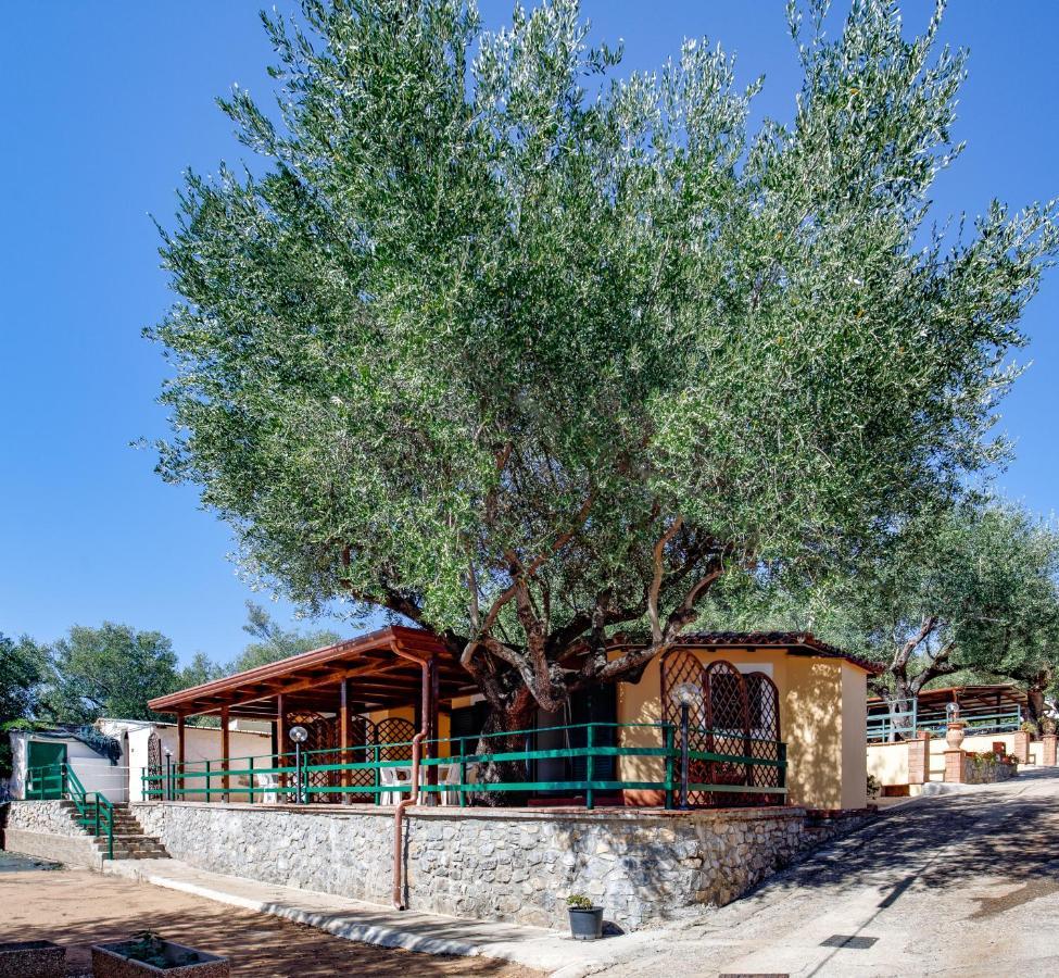 מרינה די קמרוטה Villaggio Residence Pietra Grigia מראה חיצוני תמונה